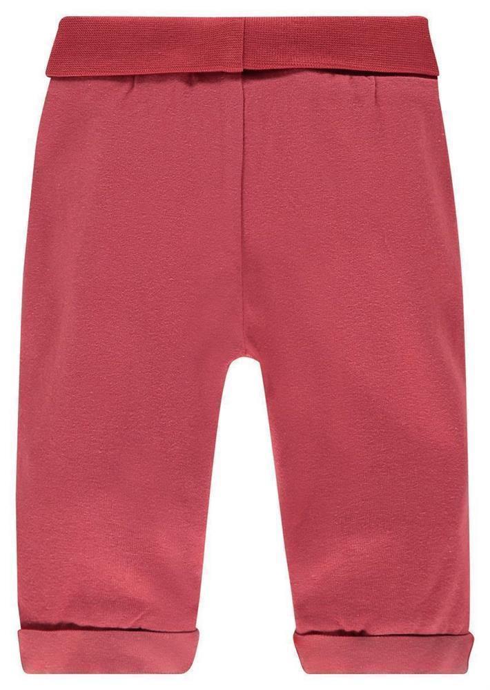 Hose+Calipatria (1).jpg