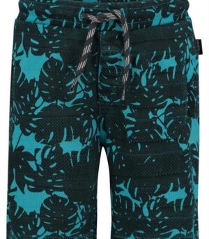 Shorts+Silverdale.jpg