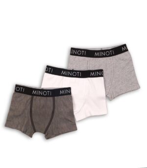 Jungen Boxershorts Minoti(1).jpg