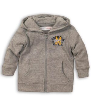 Sweatjacke mit Kapuze(1).jpg