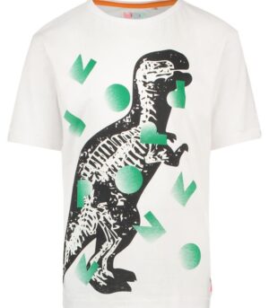 T-shirt+Veronique.jpg