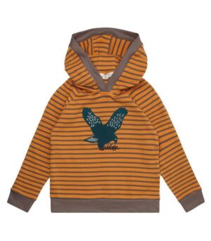 1921523_jonas_yellowgreystripes-eagle_01.jpg