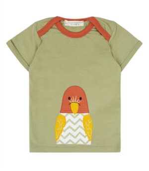 2011753_olive_parrot-1.jpg